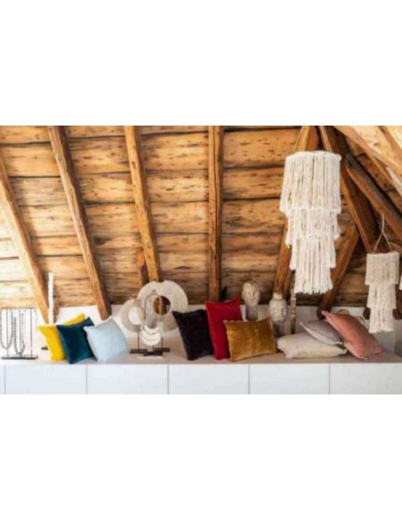 ΜΑΞΙΛΑΡΙ VIVARAISE FARA EUCALYPTUS 45×45 100% ΒΑΜΒΑΚΕΡΟ ΒΕΛΟΥΔΟ