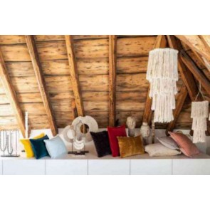 ΜΑΞΙΛΑΡΙ VIVARAISE FARA RAISIN 40×65 100% ΒΑΜΒΑΚΕΡΟ ΒΕΛΟΥΔΟ 2