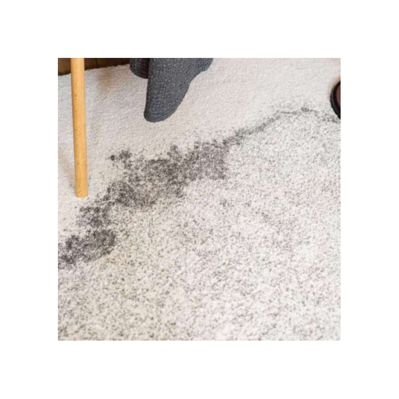 RUG VIVARAISE ABU IVOIRE 200×290 100%... RUG VIVARAISE ABU IVOIRE 200×290 100%...