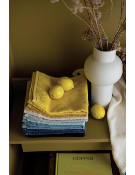 KITCHEN TOWEL WINKLER CURL THYM 50x50 100% COTTON